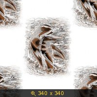 ф | бш | фауна | дельфины-2 8