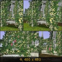 Скриншоты, Закачки, картинка 459097.jpg