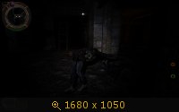 466273.jpg