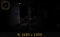 466276.jpg