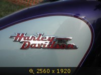 484419.jpg