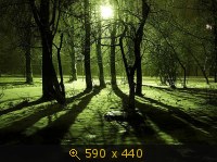 ночь