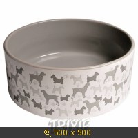 Животные, салон, картинка 544124.jpg