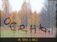 осень 17
