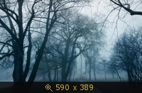 осень 29