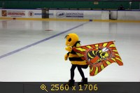 Спорт, кристалл-тамбов, картинка 604514.jpg