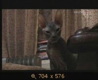 2009.05.19. 00-20. Культура. Ирина Уральская. Ее семья и другие животные (дф) (ls)