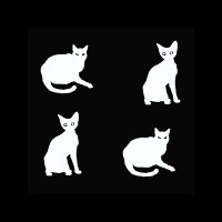 кошки 5