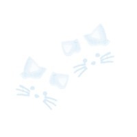 кошки 15