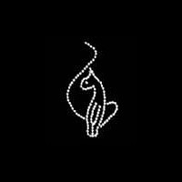 кошки 30
