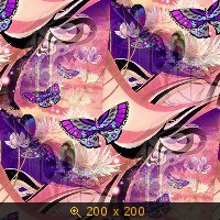 бабочки 22