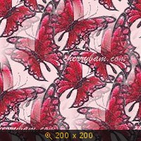 бабочки 61