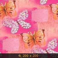 бабочки 76