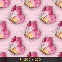 бабочки 118