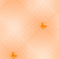 бабочки 136
