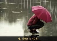 дождь 43