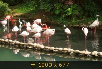 Гонконг, Ocean Park