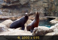 Гонконг, Ocean Park