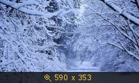 зима 41