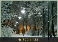 зима 42
