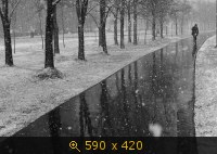 зима 55