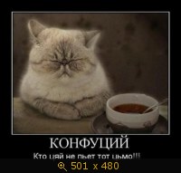 Конфуций: Кто цяй не пьёт тот цьмо!!!