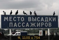 Юмор, Прикольные Картинки, картинка 763326.jpg