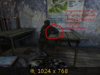 769140.jpg