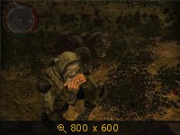 769142.jpg
