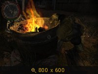 769145.jpg