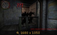 769153.jpg