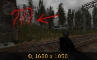769154.jpg