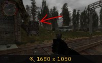 769157.jpg