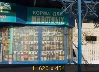 Корма для животных