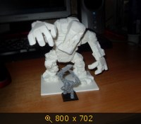 805196.jpg