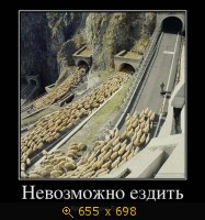 Юмор, Прикольные Демотиваторы, картинка 805637.jpg