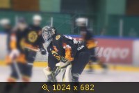 Спорт, кристалл 2 - пингвины, картинка 809655.jpg
