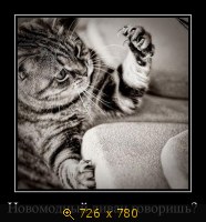 Юмор, Прикольные Демотиваторы, картинка 816447.jpg