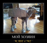 Юмор, Прикольные Демотиваторы, картинка 816497.jpg