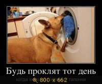 Юмор, Прикольные Демотиваторы, картинка 830794.jpg