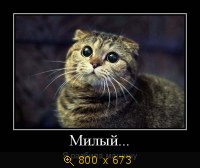 Юмор, Прикольные Демотиваторы, картинка 830815.jpg