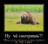 Юмор, Прикольные Демотиваторы, картинка 830817.jpg
