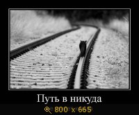 Юмор, Прикольные Демотиваторы, картинка 831245.jpg