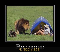 Юмор, Прикольные Демотиваторы, картинка 831247.jpg