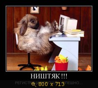 Юмор, Прикольные Демотиваторы, картинка 831265.jpg