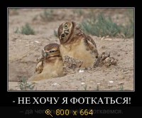 Юмор, Прикольные Демотиваторы, картинка 831270.jpg