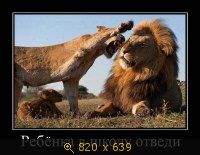 Юмор, Прикольные Демотиваторы, картинка 831272.jpg