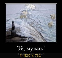 Юмор, Прикольные Демотиваторы, картинка 831643.jpg