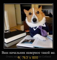Юмор, Прикольные Демотиваторы, картинка 831676.jpg