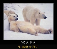 Юмор, Прикольные Демотиваторы, картинка 831693.jpg